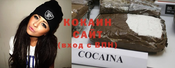дмт Богданович