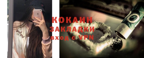 дмт Богданович