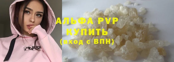 дмт Богданович