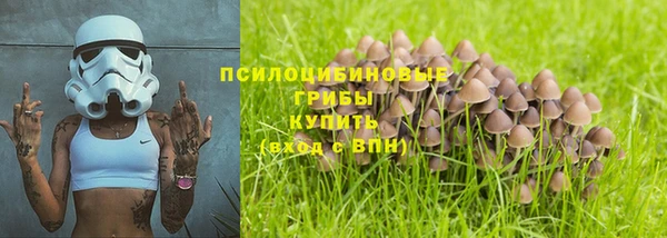 соль курить ск Богородск
