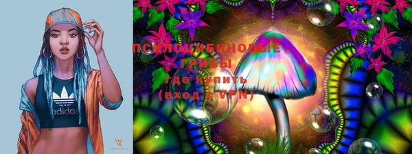 дмт Богданович