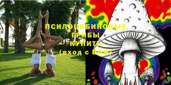 соль курить ск Богородск
